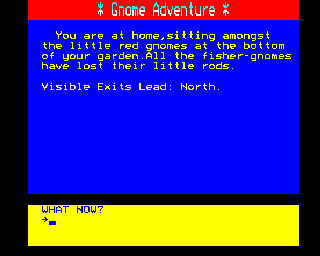 gnome adventure B