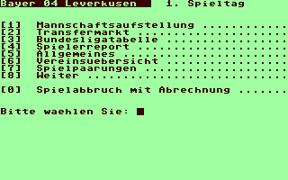 Bundesliga 90 91