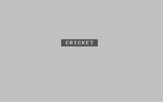 Cricket v4