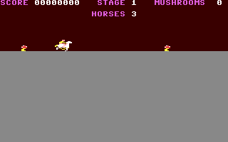 Equestrian4