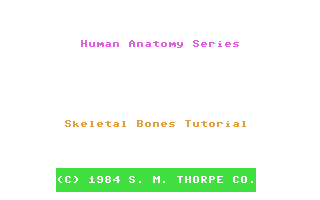 Human Anatomy Series - Skeleton Bones Tutorial