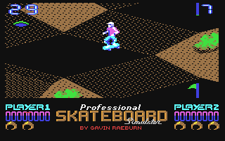 Professional Skateboard Simulator