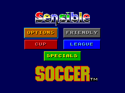 Sensible Soccer (European Champions)