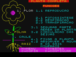 plantas